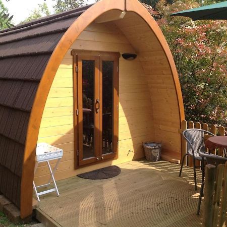Igloo Garden Lake 소리아노델라고 외부 사진